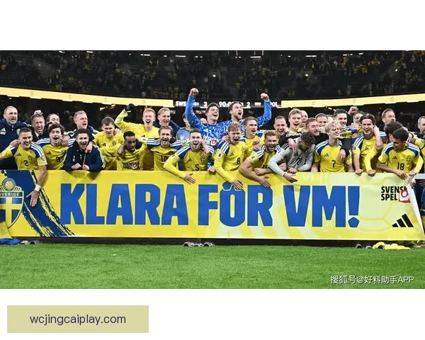 维罗纳球迷对法焦利发出歧视性口号 古德蒙德松随即回应事件曝光